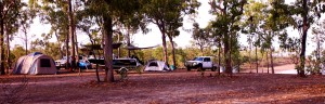 Camping Wiligi