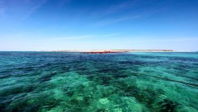 Cruising over the coral reef