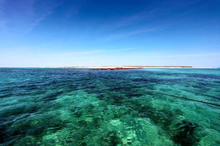 Cruising over the coral reef