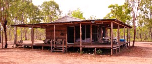 Cabin Accommodation Wiligi