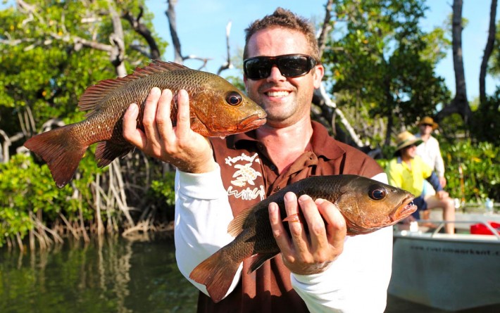 Mangrove Jack