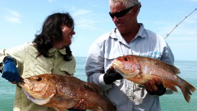 My Snapper is bigger than yours!