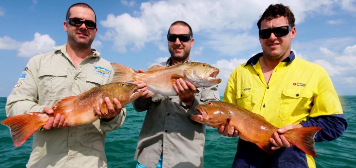 Coral trout for dinner