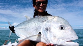 A G.T ( Golden Trevally )